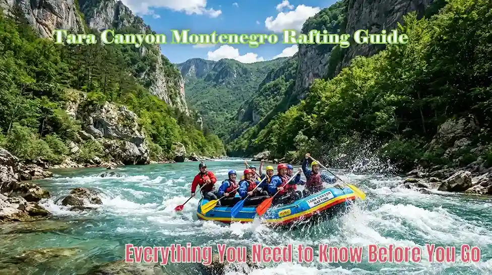 Tara Canyon Montenegro Rafting Guide Everything You Need to Know Before You Go